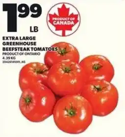 Loblaws Extra large greenhouse beefsteak tomatoes offer