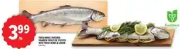 Metro FRESH WHOLE ONTARIO RAINBOW TROUT OR STUFFED WITH FRESH HERBS & LEMON offer