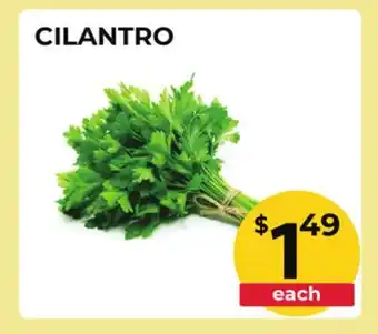 Food World Supermarket CILANTRO offer