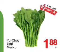 T&T Supermarket YU-CHOY offer