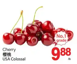 T&T Supermarket CHERRY offer