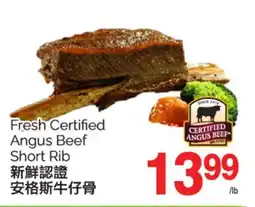 T&T Supermarket FRESH CERTIFIED ANGUS BEEF SHORT RIB offer