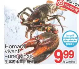 T&T Supermarket HOMARD VIVANT-UNE PINCE offer
