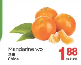 T&T Supermarket MANDARINE WO offer
