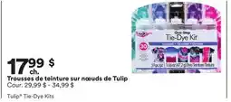Michaels Trousses de teinture sur nœuds de Tulip offer