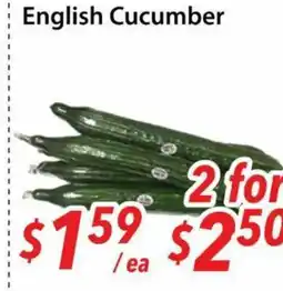 Bestco Food Mart English cucumber offer