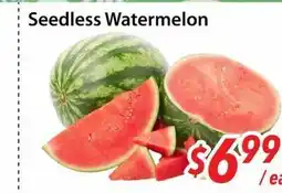 Bestco Food Mart Seedless Watermelon offer