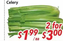 Bestco Food Mart celery offer