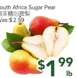 Ample Food Market South Africa Sugar Pear offer