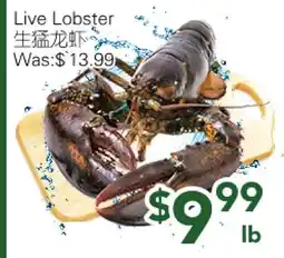 Ample Food Market Live Lobster offer