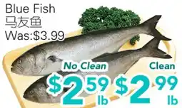 Ample Food Market Blue Fish offer