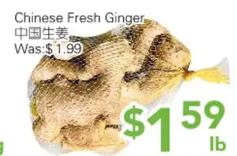 Ample Food Market Chinese Fresh Ginger offer