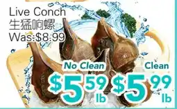 Ample Food Market Live Conch offer