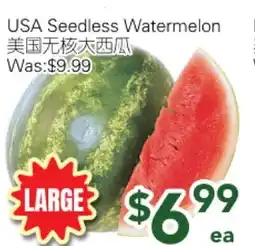 Ample Food Market USA Seedless Watermelon offer