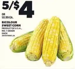 Loblaws Bicolour sweet corn offer