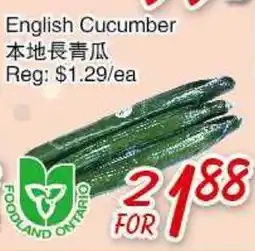 Foody Mart English Cucumber offer