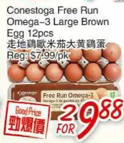 Foody Mart Conestoga Free Run Omega-3 Large Brown Egg 12 pcs offer
