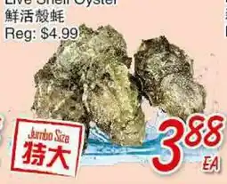 Foody Mart LIVE SHELL OYSTER offer