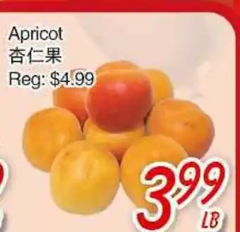 Foody Mart Apricot offer