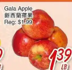 Foody Mart GALA APPLE offer