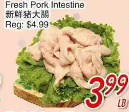 Foody Mart Fresh Pork Intestine offer