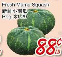Foody Mart FRESH MAMA SQUASH offer