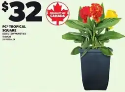 Loblaws PC tropical square offer