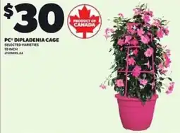 Loblaws PC dipladenia cage offer