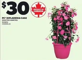 Loblaws PC dipladenia cage offer