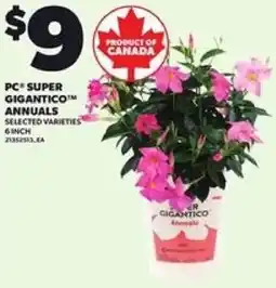 Loblaws PC super gigantico annuals offer