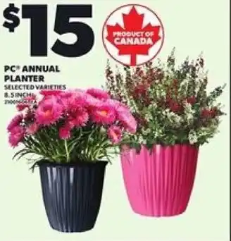 Loblaws PC annual planter offer