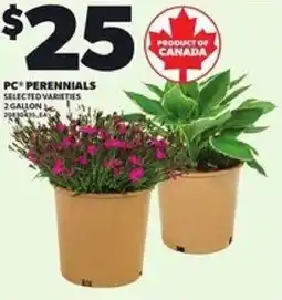 Loblaws PC perennials offer