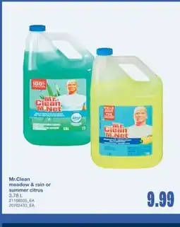 Wholesale Club MR.CLEAN MEADOW & RAIN OR SUMMER CITRUS, 3.78 L offer