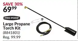 Princess Auto Large Propane Torch Kit offer