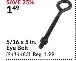 Princess Auto 5/16 x 5 in. Eye Bolt offer