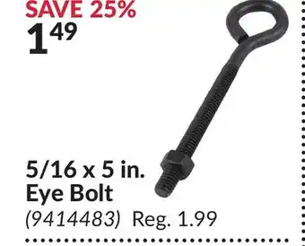 Princess Auto 5/16 x 5 in. Eye Bolt offer