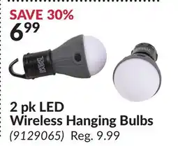 Princess Auto 2 pk LED Wireless Hanging Bulbs offer
