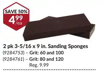 Princess Auto 2 pk 3-5/16 x 9 in. Sanding Sponges offer