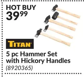 Princess Auto 5 pc Hammer Set with Hickory Handles offer