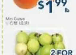 Oceans Fresh Food Market Guava offer
