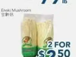 Oceans Fresh Food Market Mushroom offer