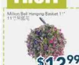 Oceans Fresh Food Market Million Bell Hanging Basket offer