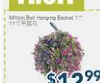 Oceans Fresh Food Market Million Bell Hanging Basket offer
