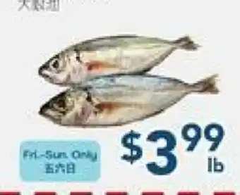 Oceans Fresh Food Market Indian Mackere offer