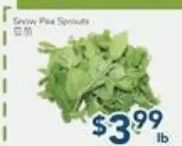 Oceans Fresh Food Market Snow Pea Sprouts offer