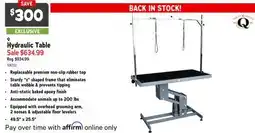 Ren’s Pets Depot Q Hydraulic Table offer
