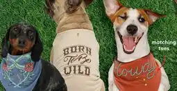 Petsmart Matching tees offer