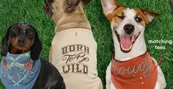 Petsmart Matching tees offer
