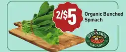 Healthy Planet Organic Bunched Spinach offer
