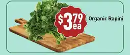 Healthy Planet Organic Rapini offer